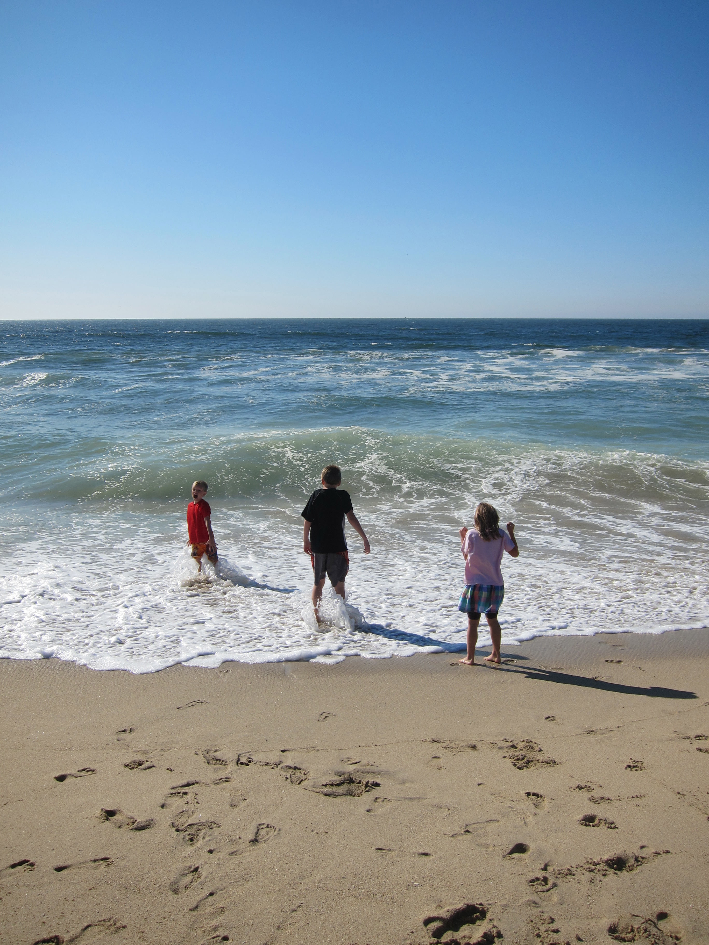 beach day